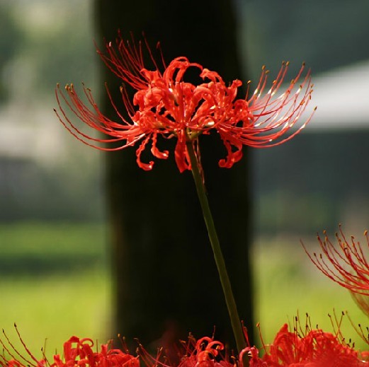 未命名.jpg