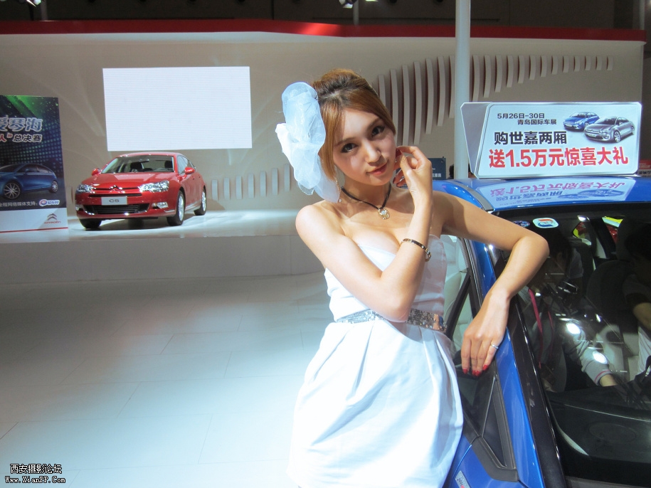 img1_src_4021603.jpg