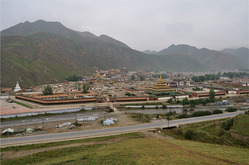 DSC_1137_副本.jpg