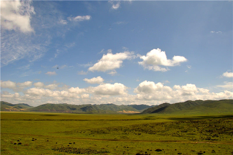 DSC_1247_副本.jpg