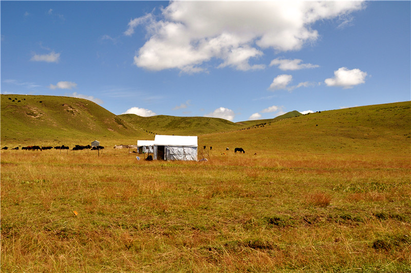 DSC_1264_副本.jpg