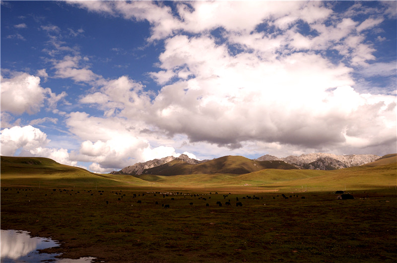 DSC_1275_副本.jpg