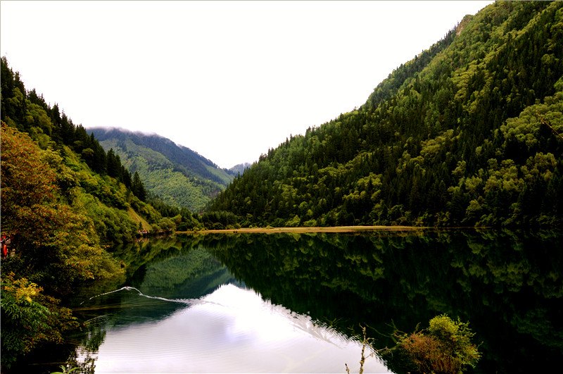 DSC_1511_副本.jpg
