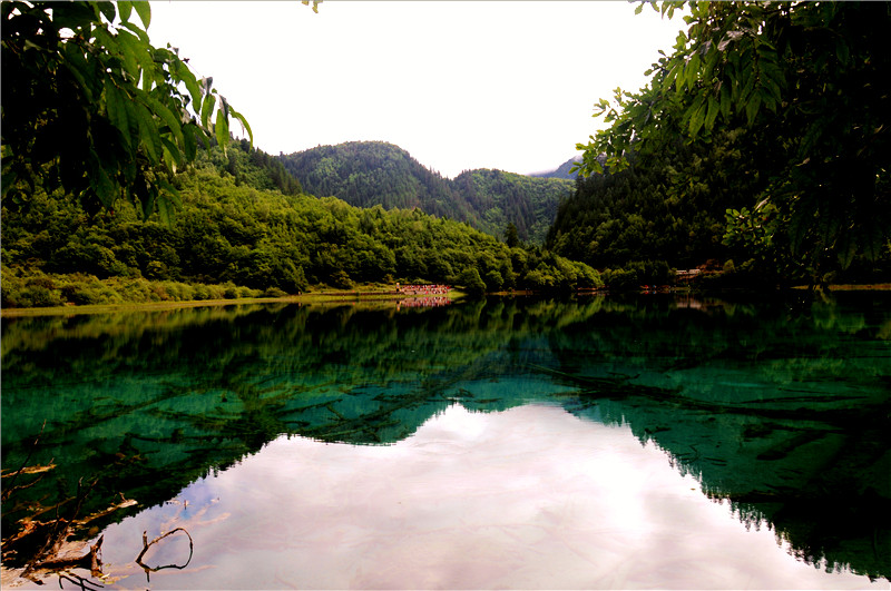 DSC_1518_副本.jpg