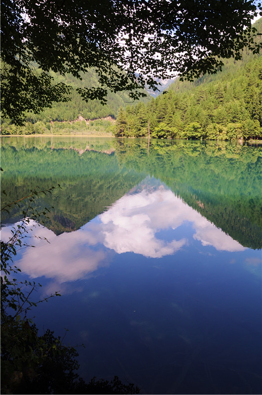 DSC_1621_副本.jpg