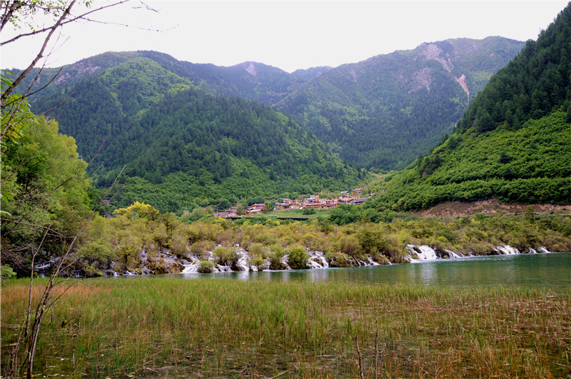 DSC_1742_副本.jpg