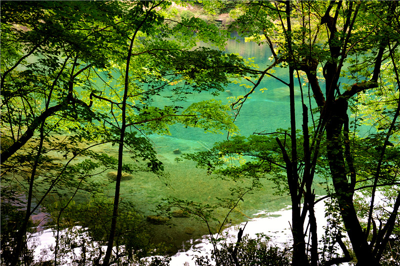 DSC_1749_副本.jpg