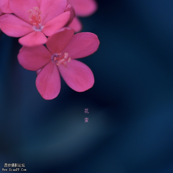 img1_src_4118406.jpg