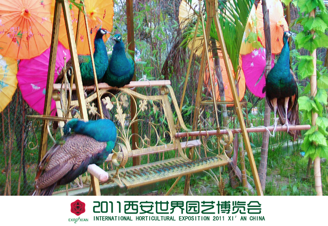DSCF7971.JPG