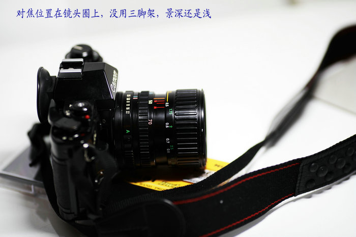 nEO_IMG_201109273493.jpg