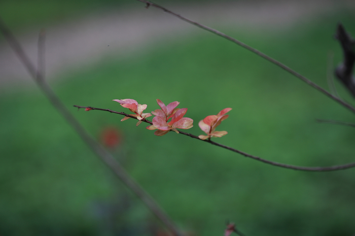 nEO_IMG_0929清晨人文环境3517.jpg