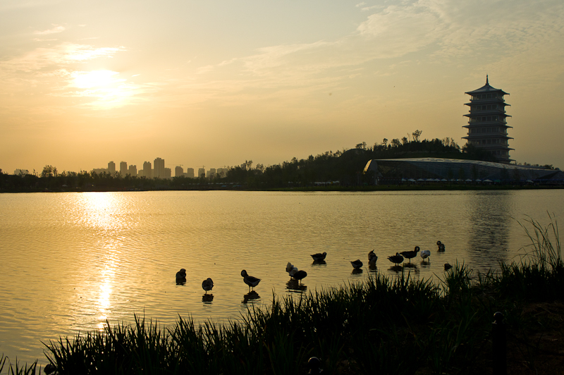 DSC07710.jpg