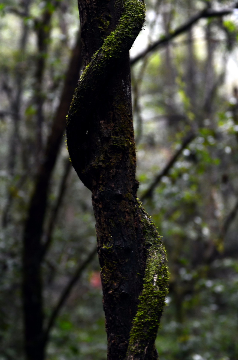 DSC_0119_调整大小.jpg