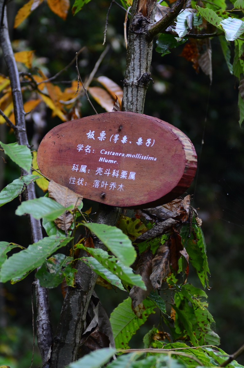 DSC_0323_调整大小.JPG