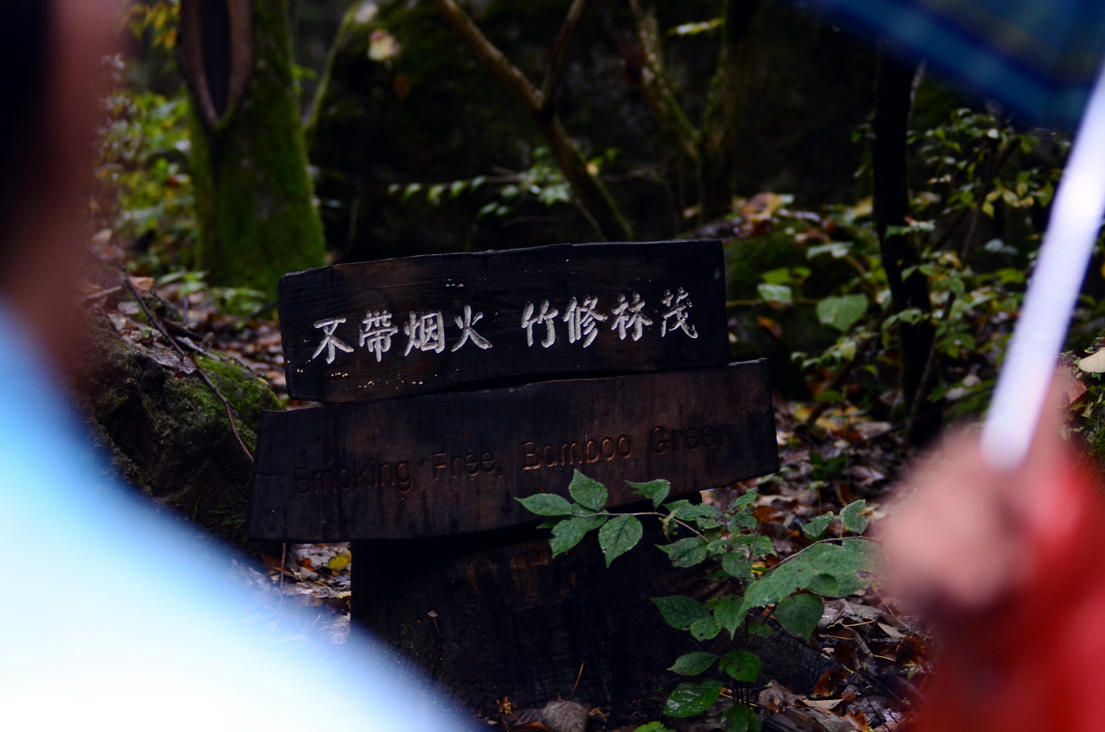 DSC_0079_调整大小.jpg