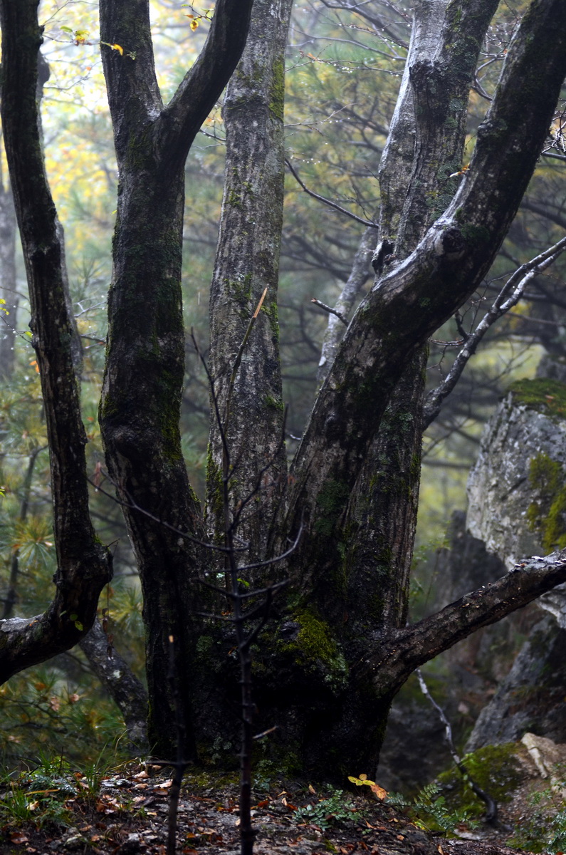 DSC_0287_调整大小.jpg