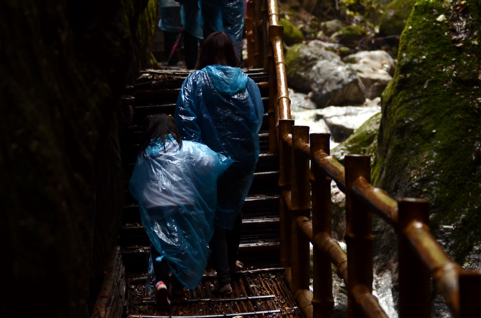 DSC_0072_调整大小.jpg