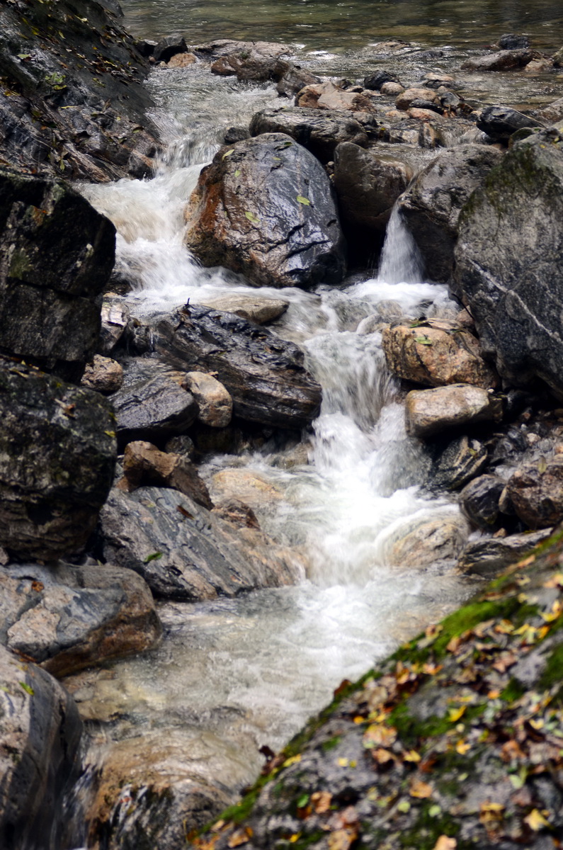 DSC_0133_调整大小.jpg