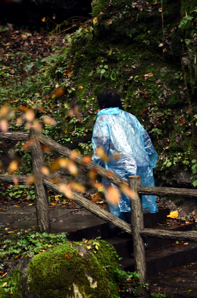 DSC_0090_调整大小.jpg