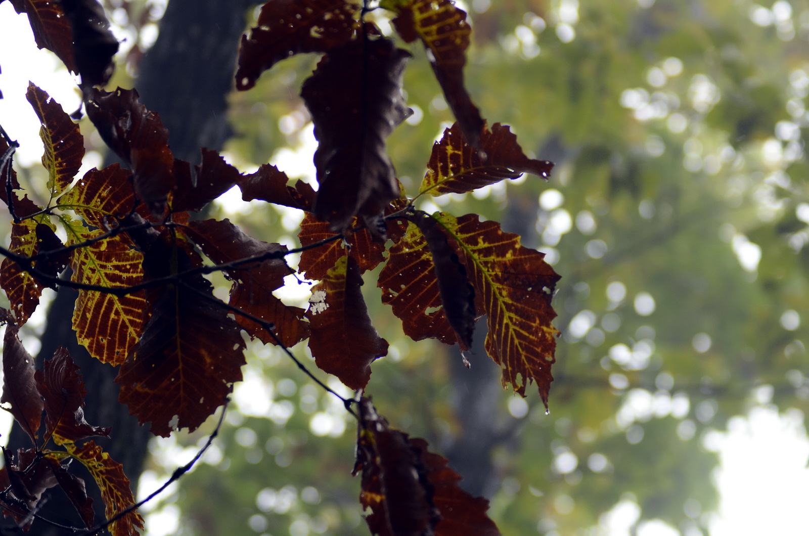 DSC_0286_调整大小.jpg