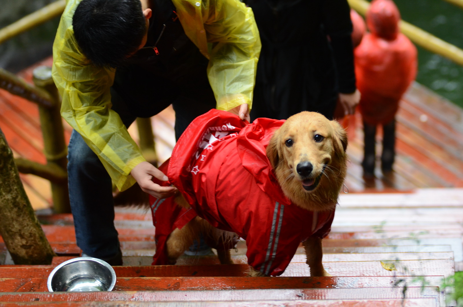 DSC_0158_调整大小.JPG