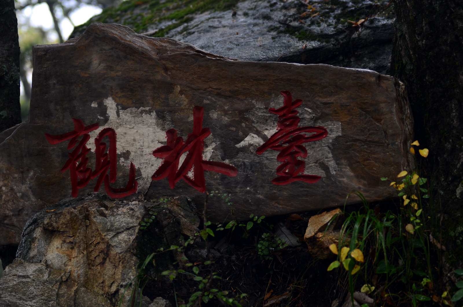 DSC_0261_调整大小.jpg