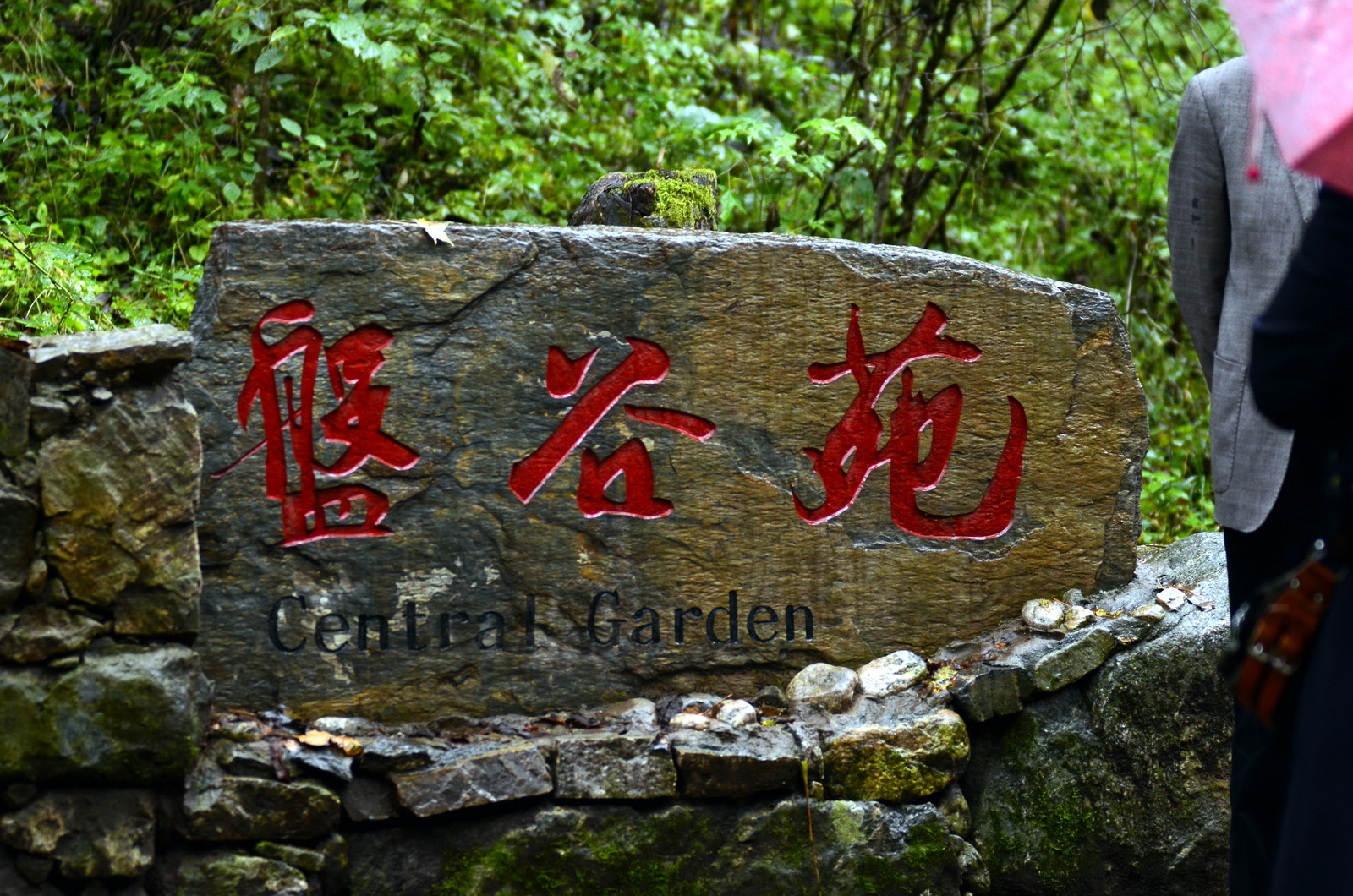DSC_0100_调整大小.jpg