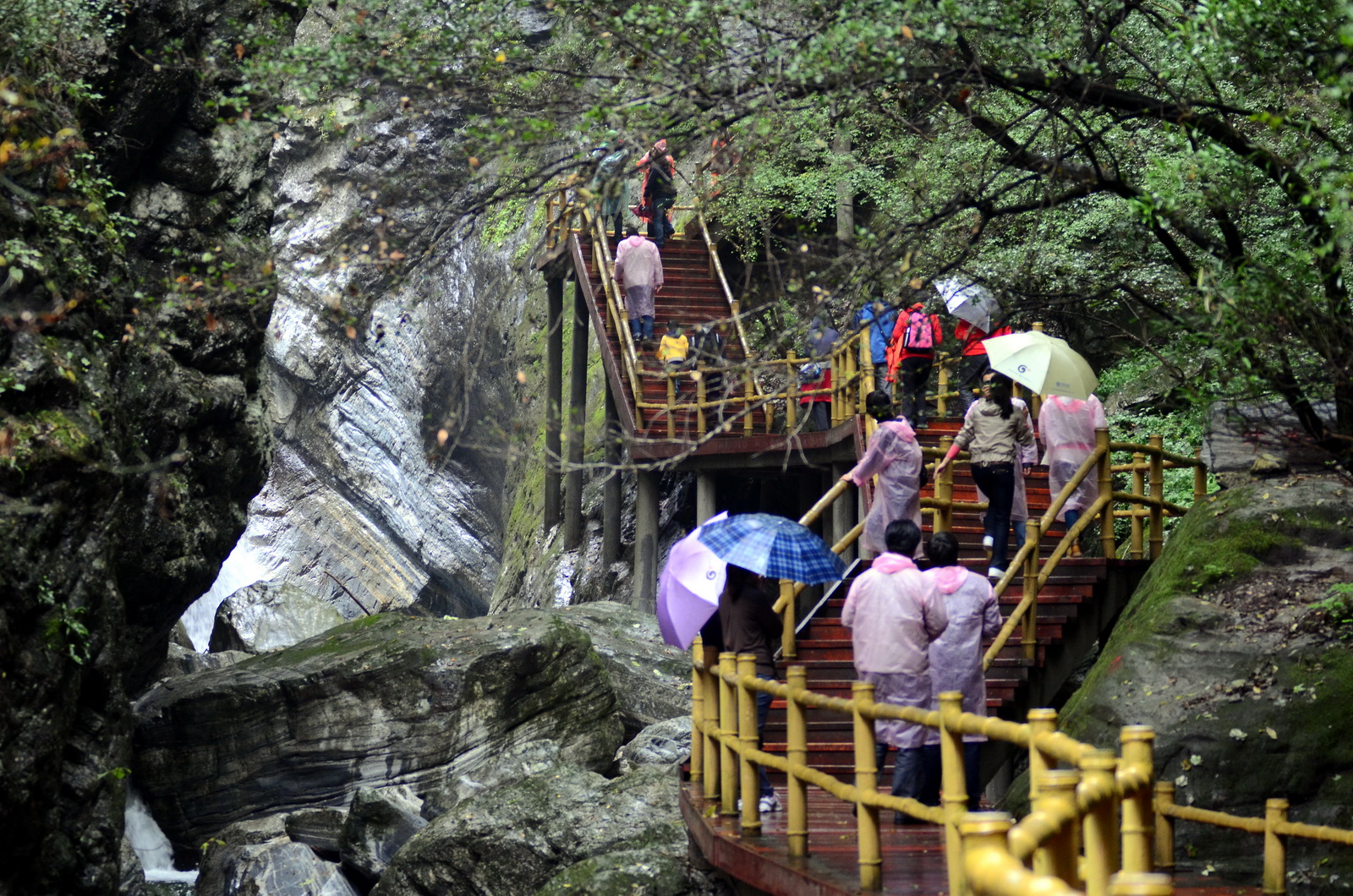 DSC_0141_调整大小.jpg