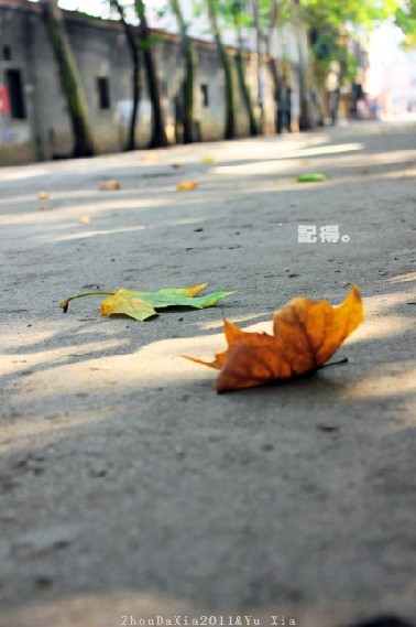几天的阴雨终于结束了，秋天，你好.jpg