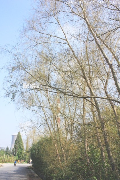 电厂西路.JPG