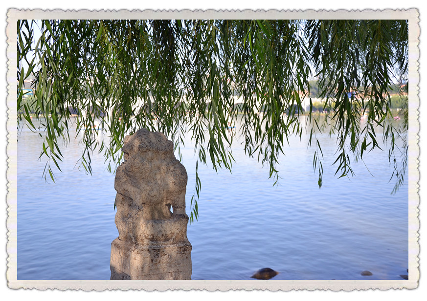 DSC_0070_副本.jpg