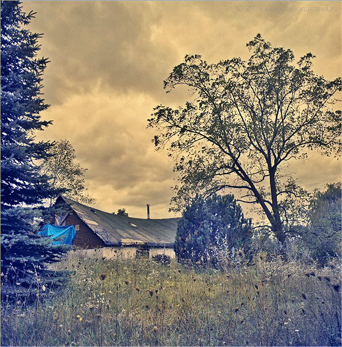 154.jpg