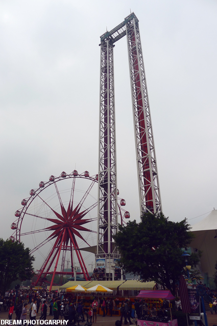 P1000577.jpg