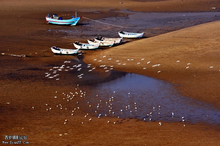 霞浦风光4.jpg