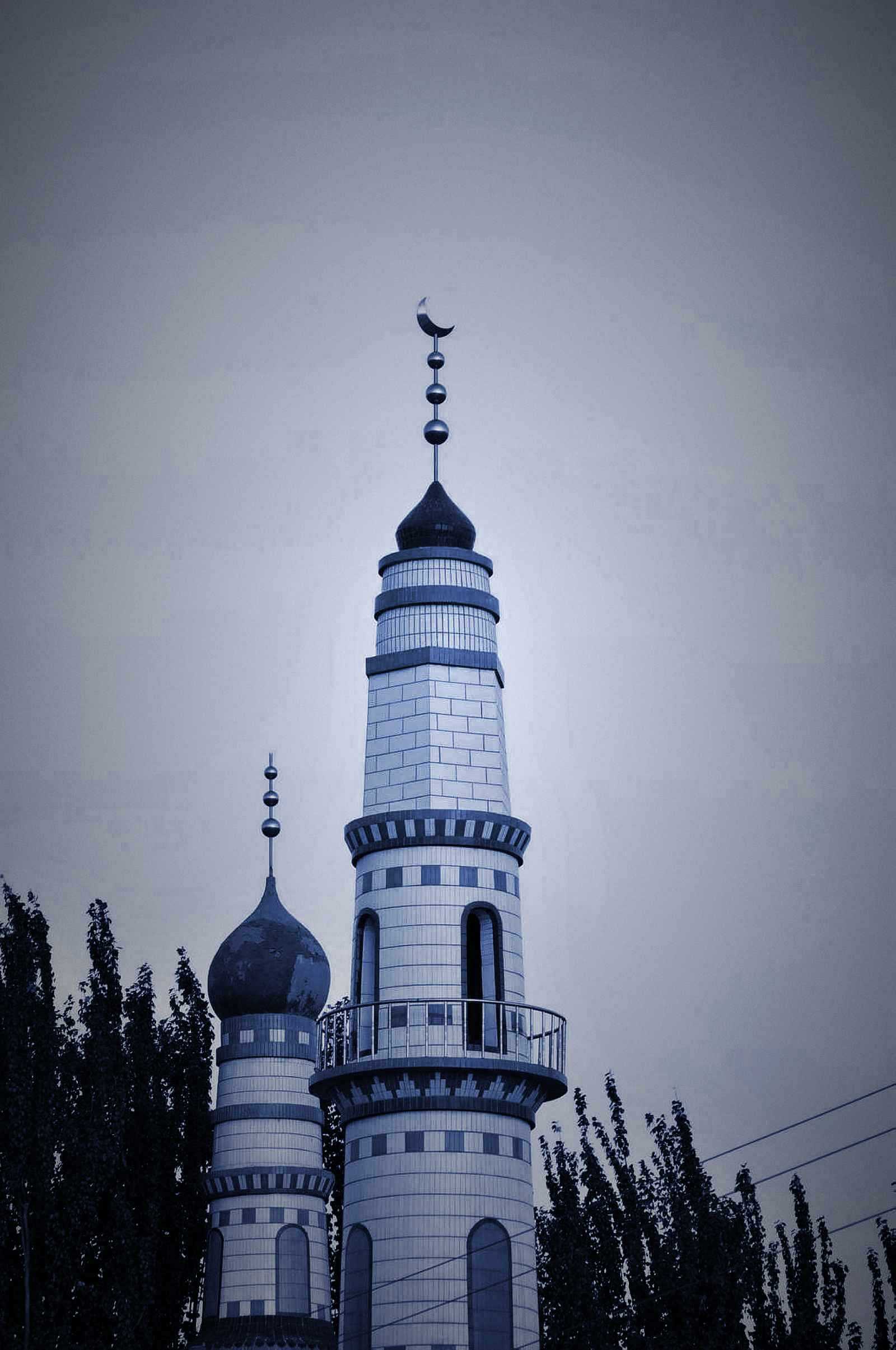 DSC_4994.jpg