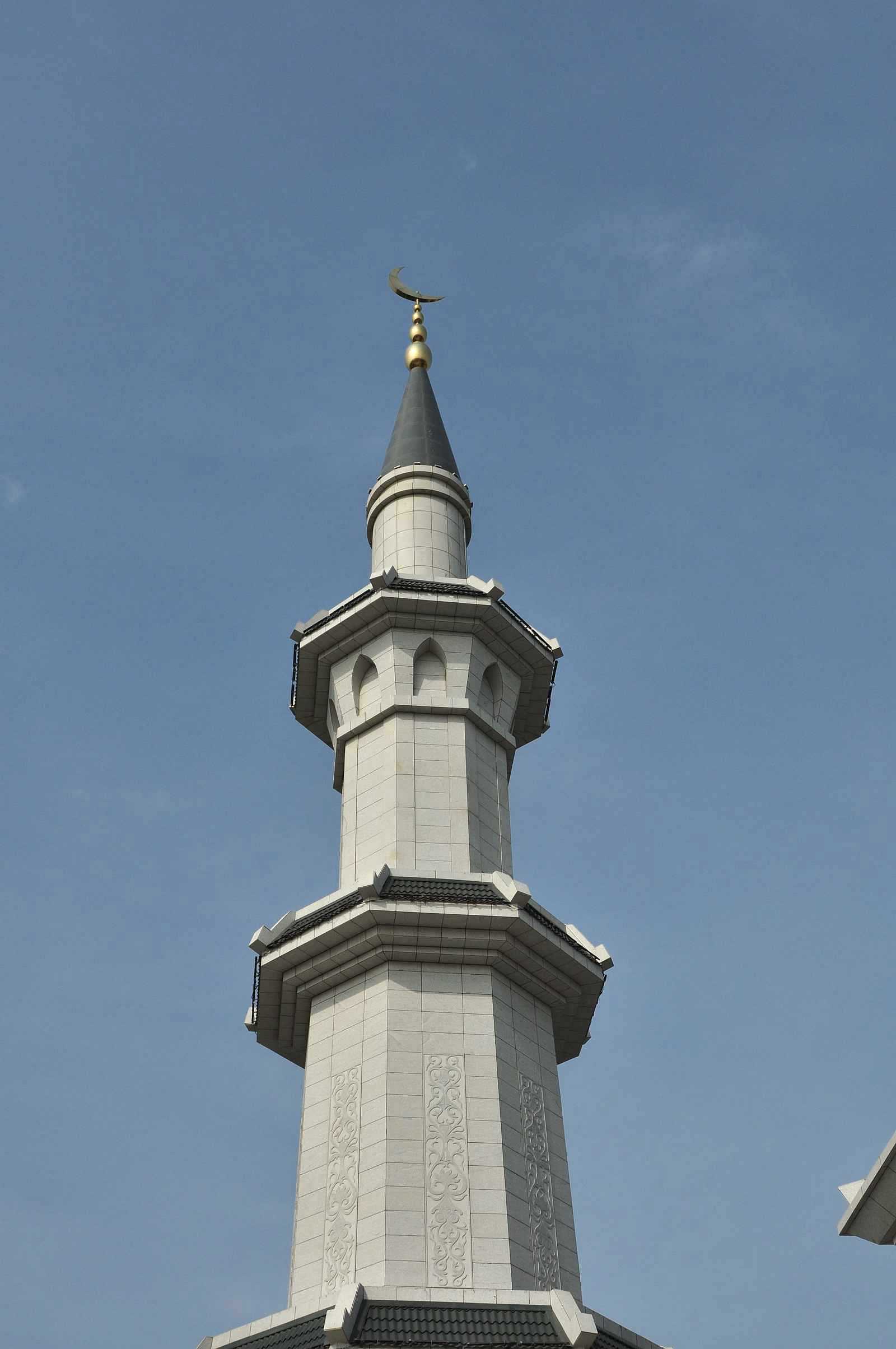 DSC_5363.jpg