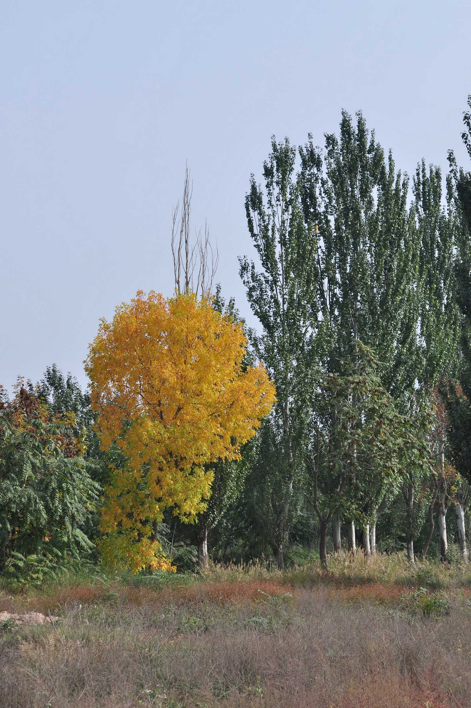 DSC_5409.jpg
