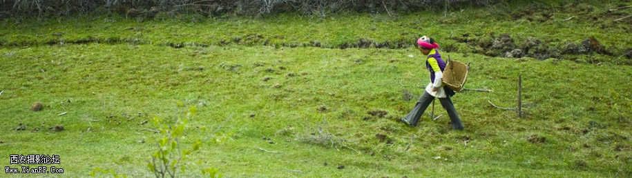 img1_src_4265466.jpg