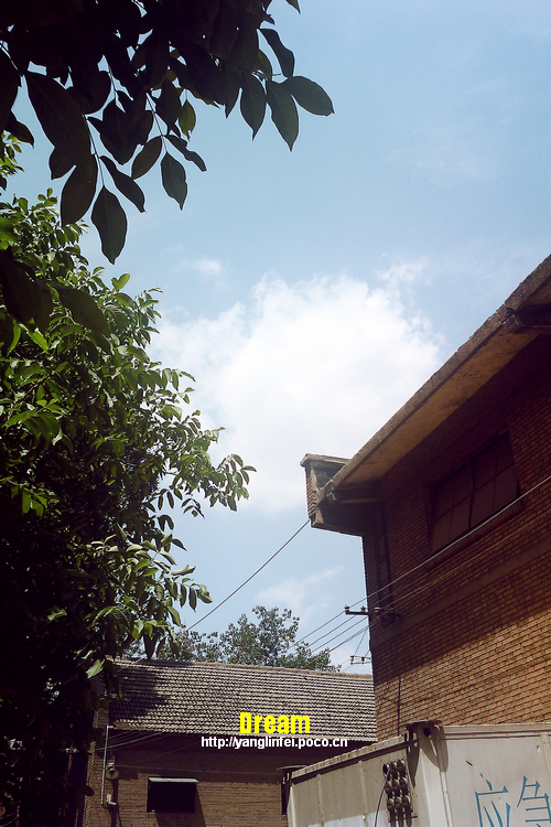IMAG0046.jpg