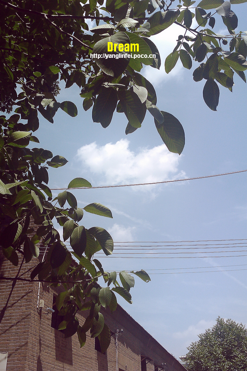 IMAG0048.jpg