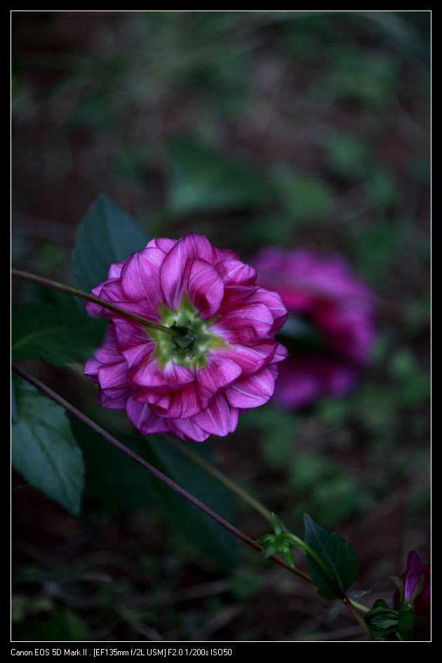 nEO_IMG_10144608-1.jpg