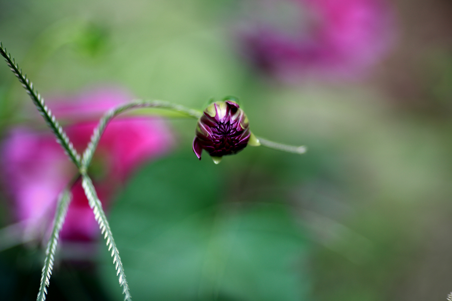 nEO_IMG_10144609-1.jpg