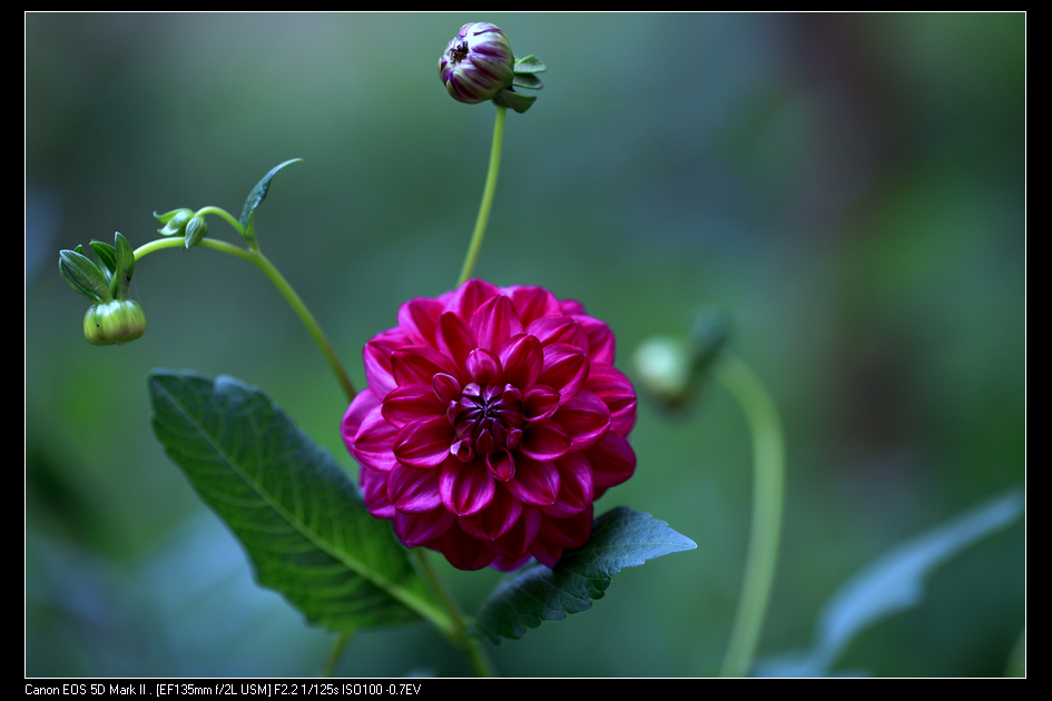 nEO_IMG_10144611-1.jpg