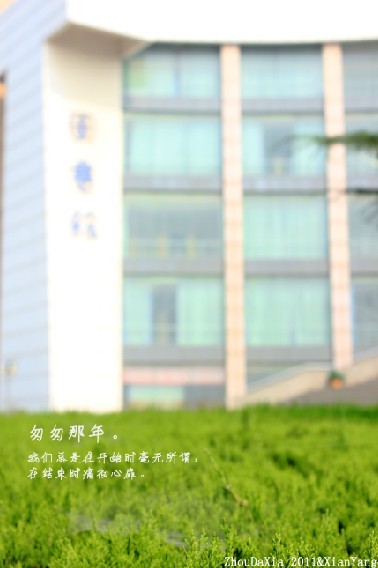图书馆呀，就觉得它那落地窗贼美，太阳照进来睡觉美得很。.jpg