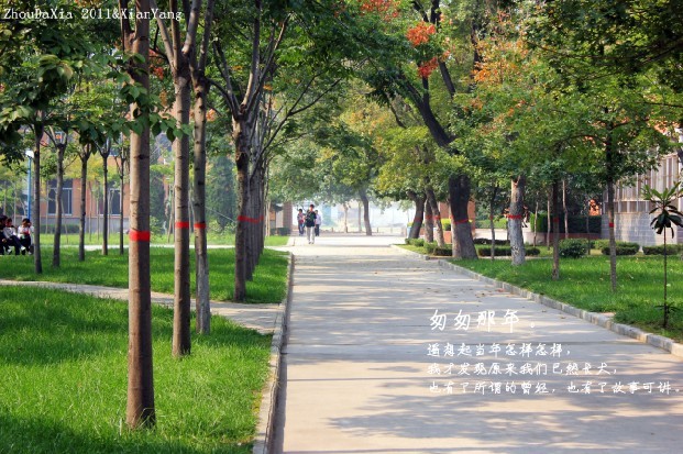 我们那时候这条路都还没修好，现在都郁郁葱葱了。.jpg