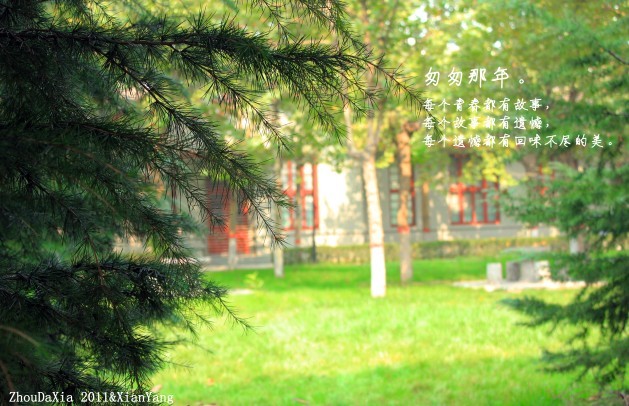 多美的阳光，那时候我们却没有那份心情来享受。.jpg