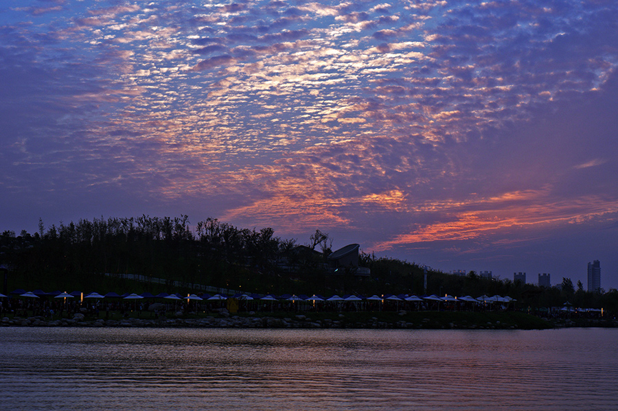 DSC08227-1.jpg