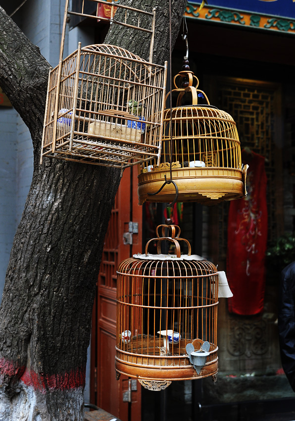 DSC_0175.jpg