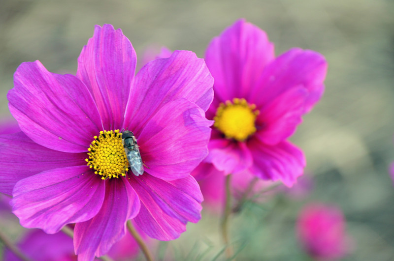 CSC_0030_副本.jpg