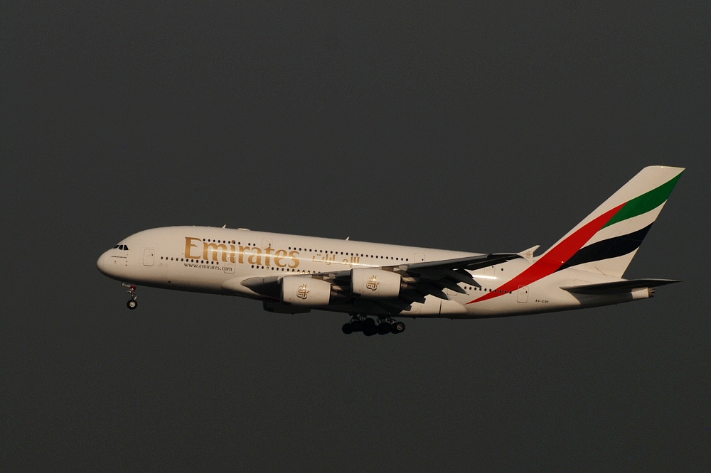DSC_9787.jpg